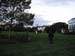 Trebuchet2003-48