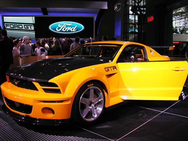 NYAS_2004_Ford_21